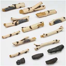 Birch Logs (optional) thumbnail