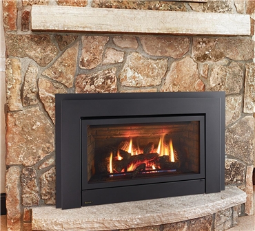 Energy E33 gas insert with contour faceplate.