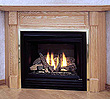 Heat & Glo SL-550TV-D